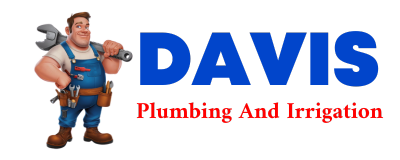 Trusted plumber in CARBONADO